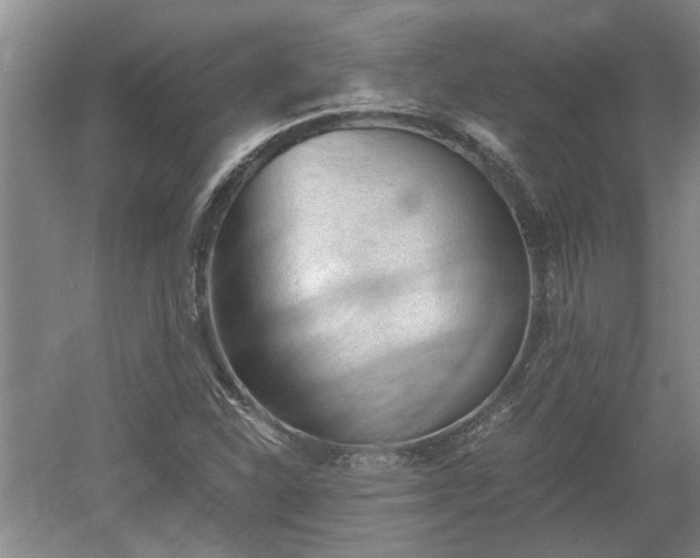 X0000060551310200511101527