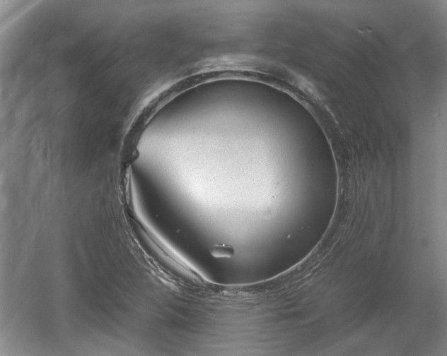 X0000060551312200511101527