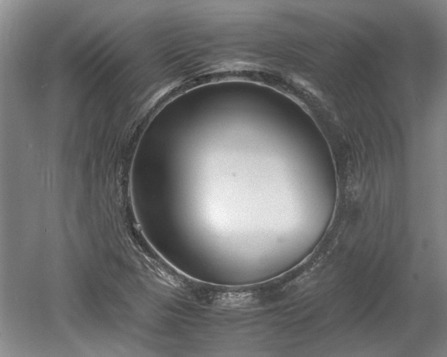 X0000060551313200511101527