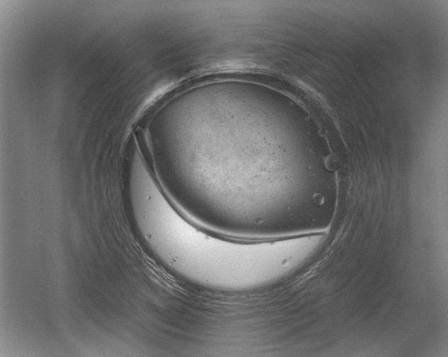 X0000060551314200511101527