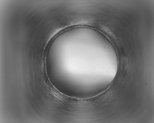 X0000060551316200511101527