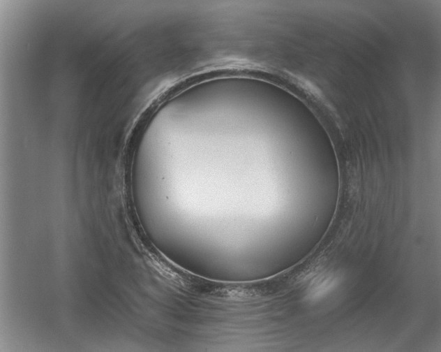 X0000060551318200511101527