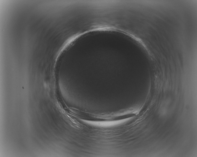 X0000060551319200511101527