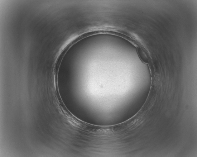 X0000060551320200511101527