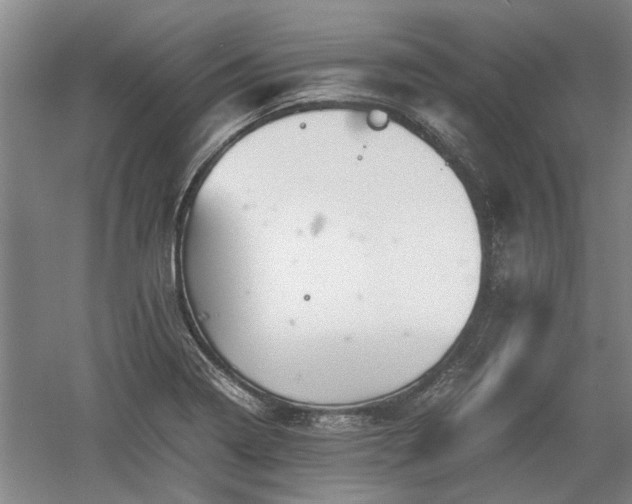 X0000060551322200511101527