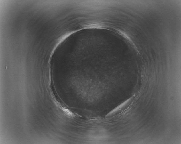 X0000060551323200511101527