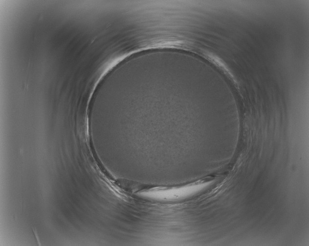 X0000060551324200511101527