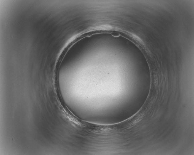 X0000060551326200511101527