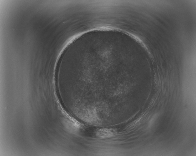 X0000060551327200511101527