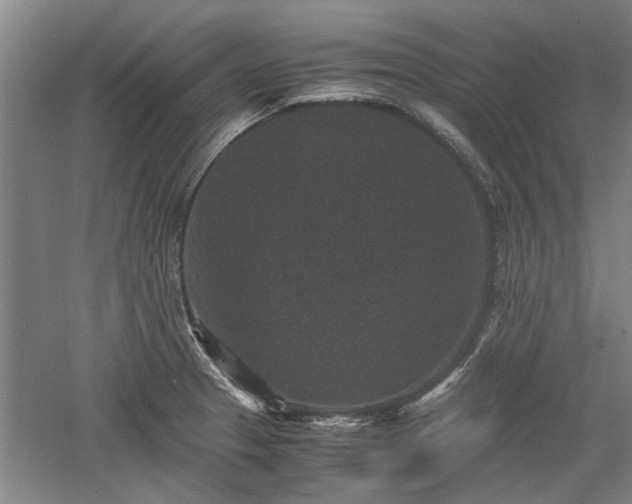 X0000060551329200511101527