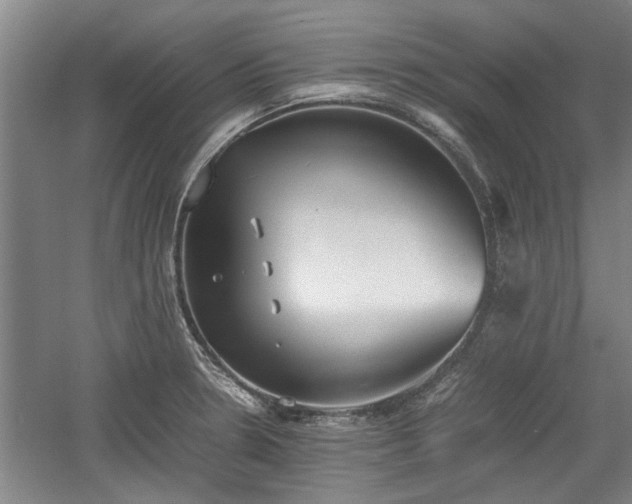 X0000060551330200511101527