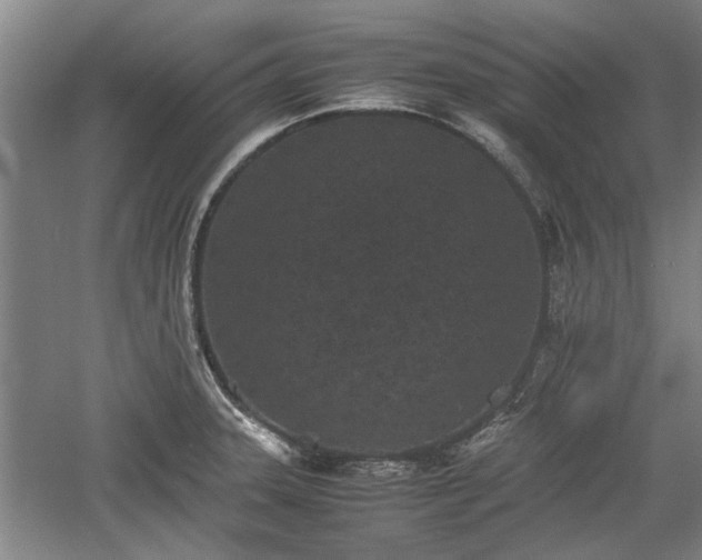 X0000060551331200511101527