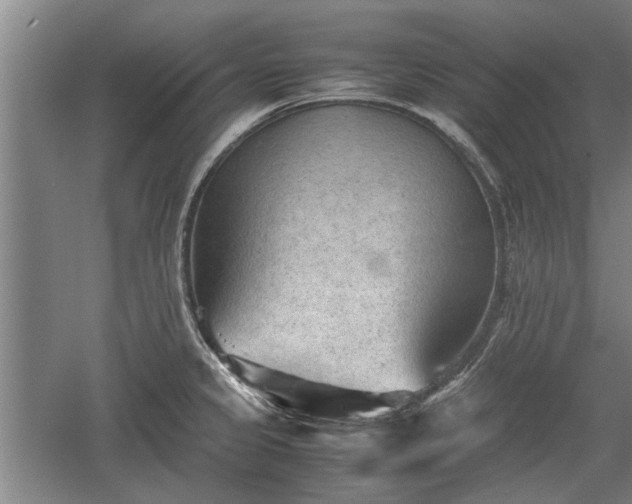 X0000060551333200511101527