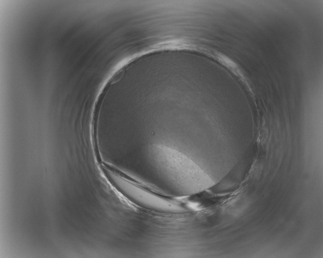 X0000060551334200511101527