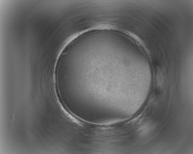 X0000060551335200511101527