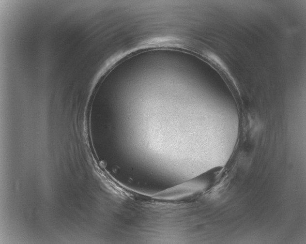 X0000060551336200511101527