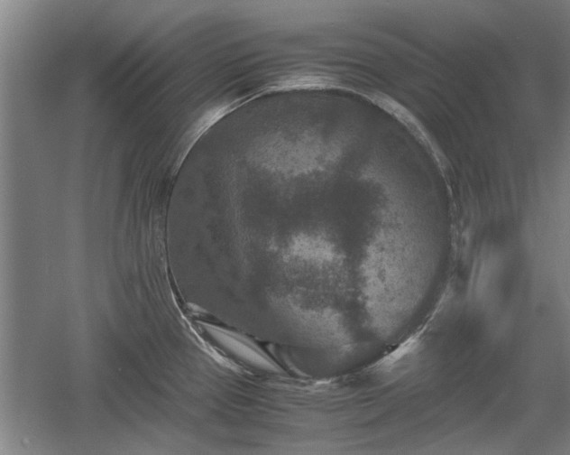 X0000060551337200511101527