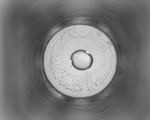 X0000060551338200511101527