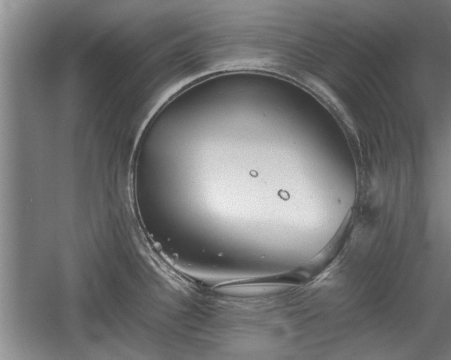 X0000060551340200511101527