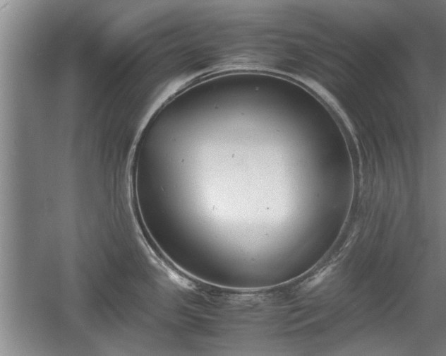 X0000060551341200511101527