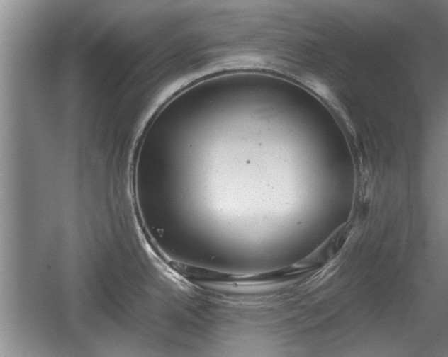 X0000060551342200511101527