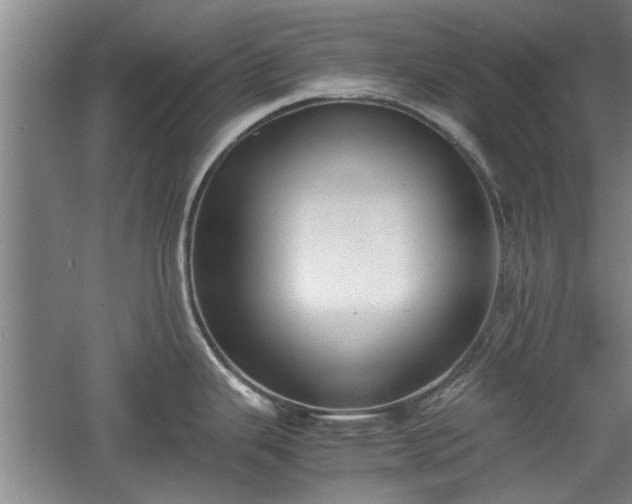 X0000060551343200511101527