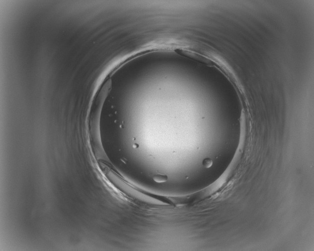 X0000060551344200511101527