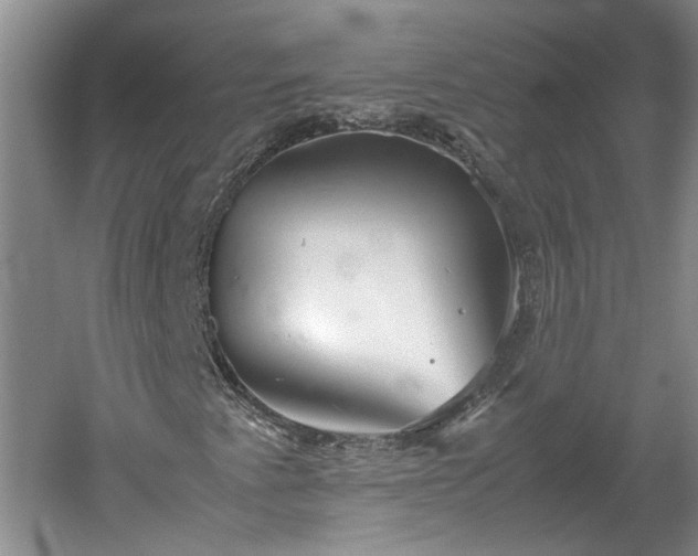 X0000060551345200511101526