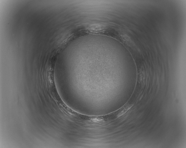 X0000060551346200511101526