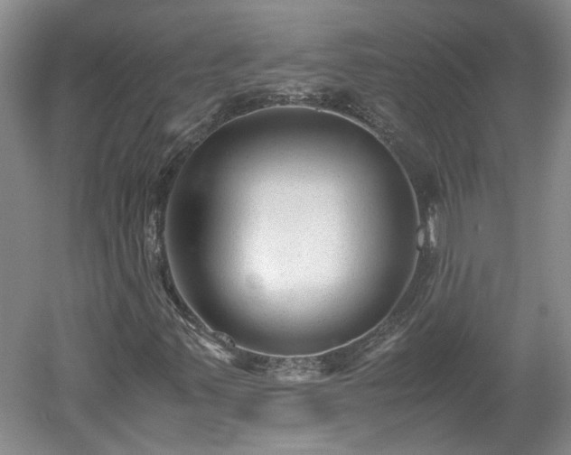 X0000060551347200511101526