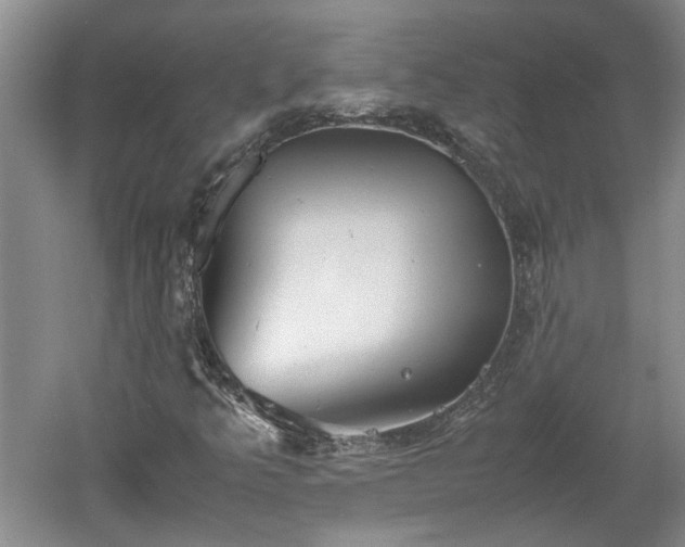 X0000060551349200511101526