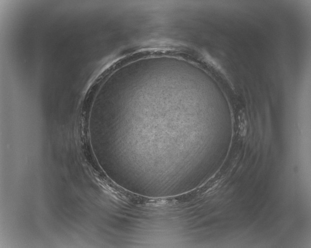 X0000060551352200511101526