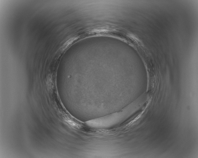 X0000060551353200511101526