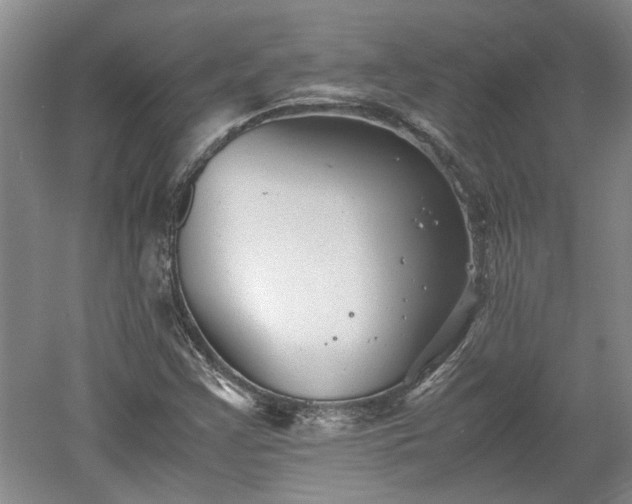 X0000060551355200511101526