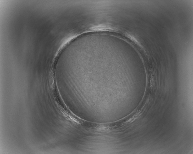 X0000060551358200511101526