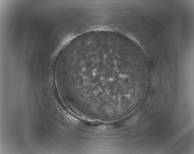 X0000060551359200511101526