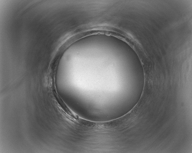 X0000060551360200511101526