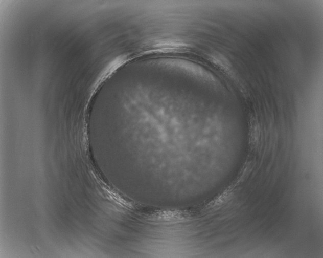 X0000060551362200511101526