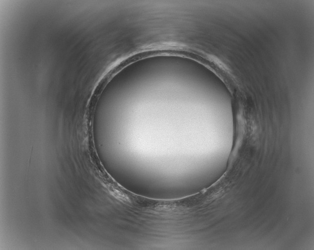 X0000060551364200511101526