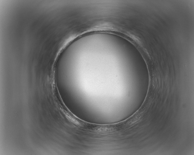 X0000060551366200511101526