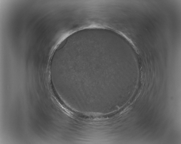 X0000060551367200511101526