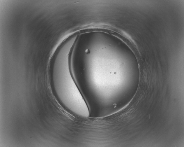 X0000060551368200511101526