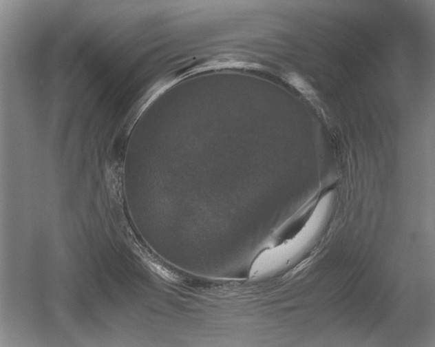 X0000060551369200511101526