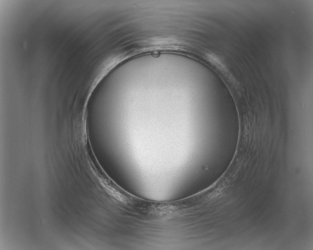 X0000060551370200511101526