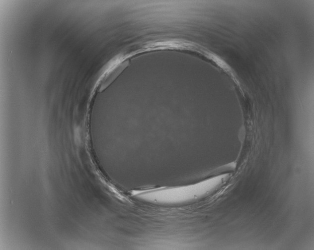 X0000060551373200511101526