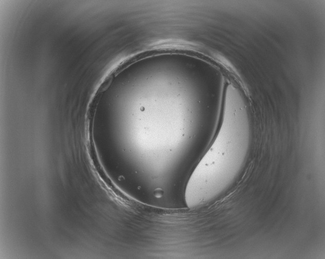 X0000060551376200511101526