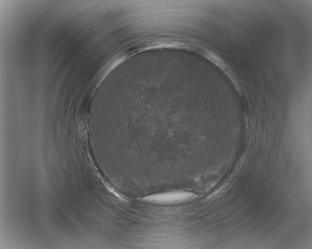 X0000060551377200511101526