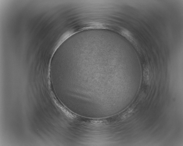 X0000060551378200511101526