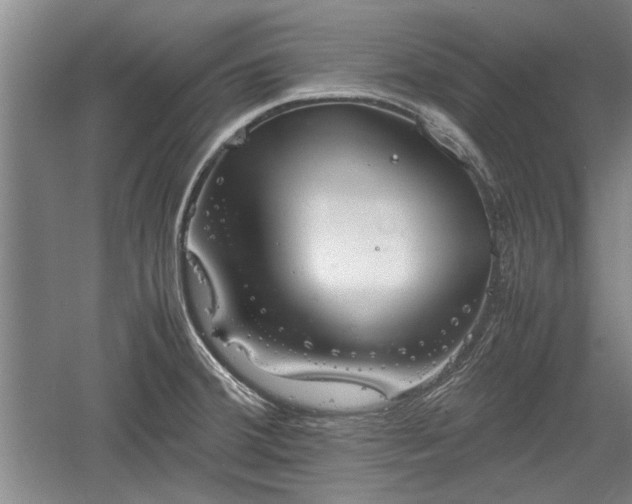 X0000060551380200511101526