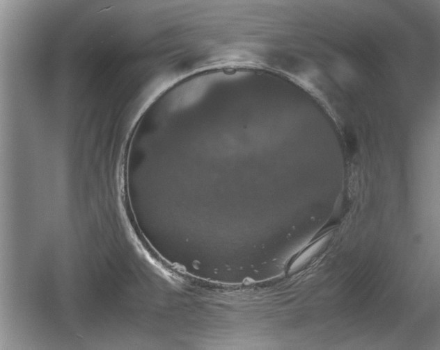 X0000060551383200511101526